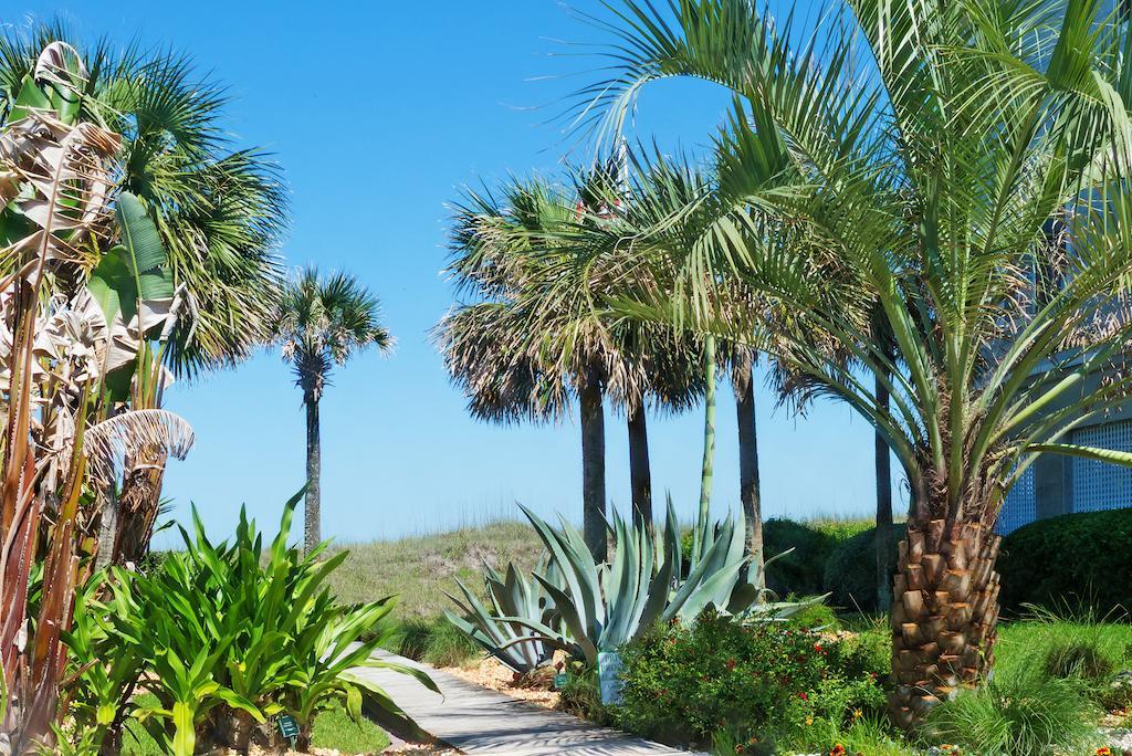 Elizabeth Pointe Lodge Fernandina Beach Eksteriør billede